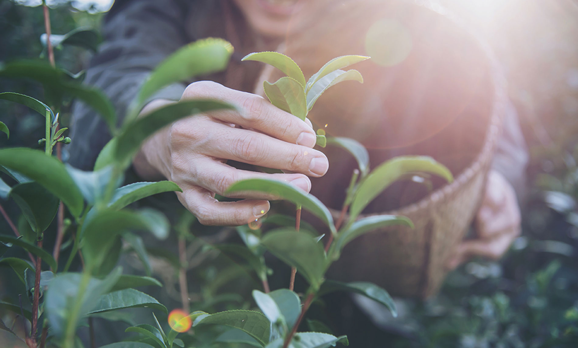 Online Marketing Kurse – Tracking und Auswertung
